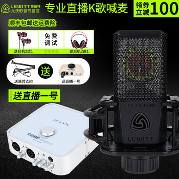 萊維特（LEWITT）  桌面式 麥克風(fēng) LCT440pure+iCON艾肯4nano