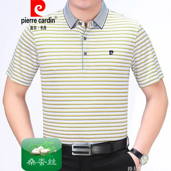 皮爾卡丹（pierrecardin） 短袖 男士T恤 R9051黃條 