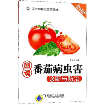 番茄