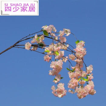 田園風花瓶，讓你的生活煥然一新