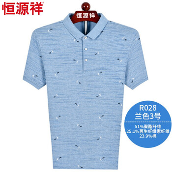 恒源祥 短袖 男士T恤 R028蘭色3號(hào) 