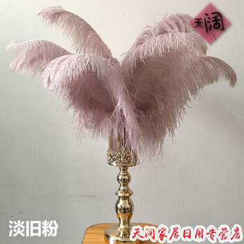 客廳單調，創(chuàng)意擺件讓你愛上生活