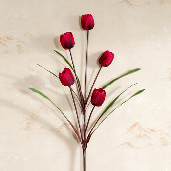 精致生態(tài)花瓶，提升幸福感
