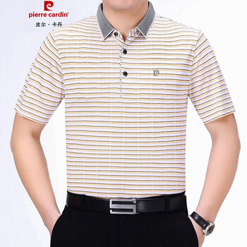皮爾卡丹（pierrecardin） 短袖 男士T恤 黃色R5005 