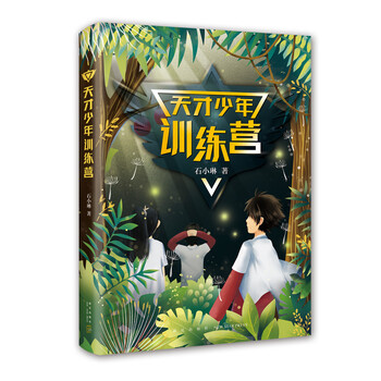 天才少年