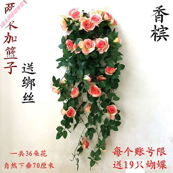 說創(chuàng)意玻璃花瓶，裝點家居藝術感