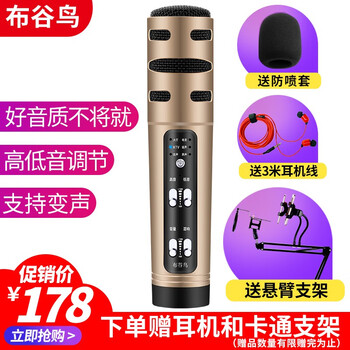 布谷鳥(niǎo)  支撐式 麥克風(fēng) 土豪金+懸臂支架