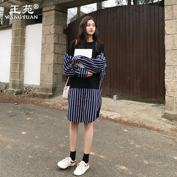 王苑（WANGYUAN） 豎條紋 拼接，條紋，拉鏈 連衣裙