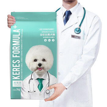 怎么樣,熊犬,白色,白色,熊犬
