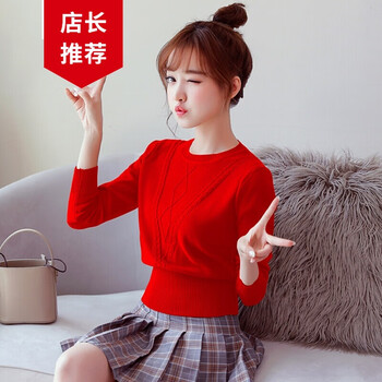 紅色毛衣貓
