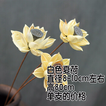 筒紙，讓你的家不再單調！