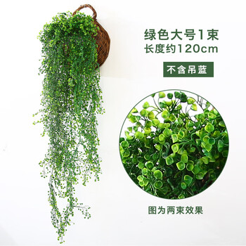 透明玻璃花瓶，讓生活更有情調(diào)
