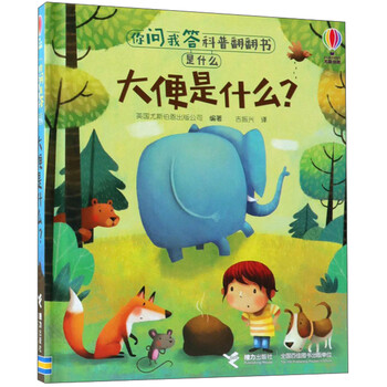 大便是什么
