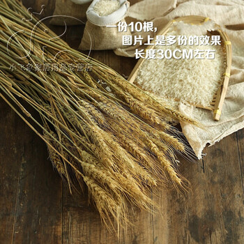 值得購(gòu)買的現(xiàn)代簡(jiǎn)約風(fēng)擺件