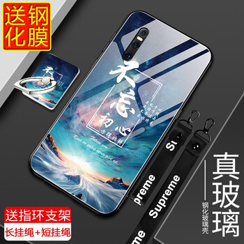 竹仔魚 vivox27 手機(jī)殼/保護(hù)套