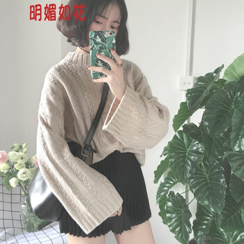 元素,套頭,流行,新款,毛衣,粗針,趨勢(shì),麻花,樣式