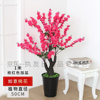 桃花樹下桃花