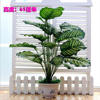 簡約花瓶，打造精致生活的藝術(shù)