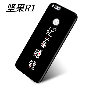 幻璽 堅(jiān)果R1 手機(jī)殼/保護(hù)套