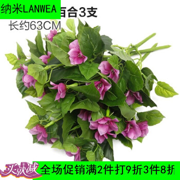 歐式簡約花瓶，打造精致生活的家