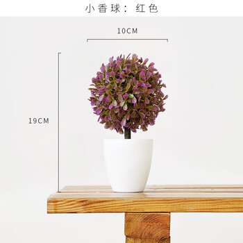 怎么樣,植物,花草,花草,植物
