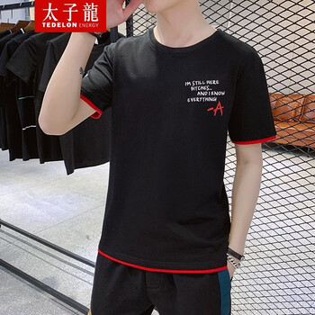 太子龍（TEDELONENERGY） 短袖 男士T恤 2006黑色 