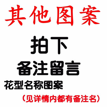 Meicarol 短袖 男士T恤 其他圖案留言備注 