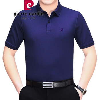 皮爾卡丹（pierrecardin） 短袖 男士T恤 55166上青 