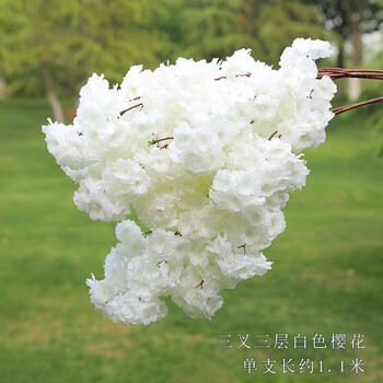 精美落地花瓶，讓你的家煥然一新