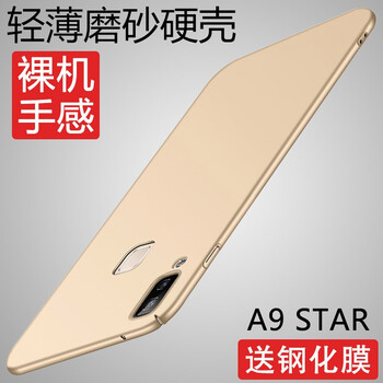 a9香檳金