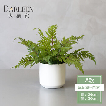 之家裝修，玻璃花瓶讓你愛上生活
