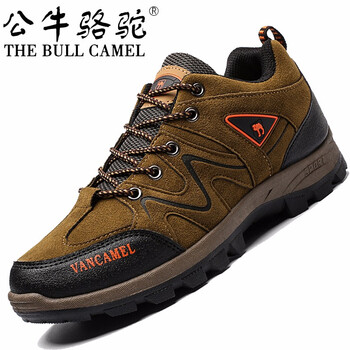 公牛駱駝（THE BULL CAMEL）男士PT2129檸檬色 41