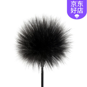 筆記本小麥克風(fēng)