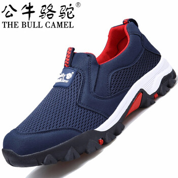 公牛駱駝（THE BULL CAMEL）男士T2389蘭紅 42