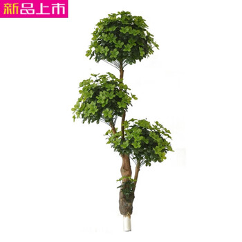 創(chuàng)意花瓶，讓你的家變得不再單調(diào)
