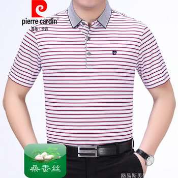 皮爾卡丹（pierrecardin） 短袖 男士T恤 R9051紅條 