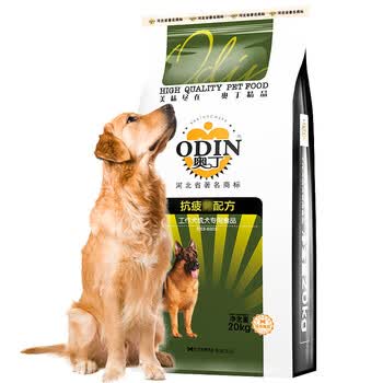 odin,odin,����,�¶�,�¶�,���а�,�Ƽ�