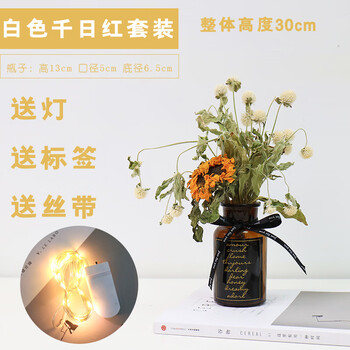 創(chuàng)意玻璃花瓶，裝點精致生活藝術(shù)
