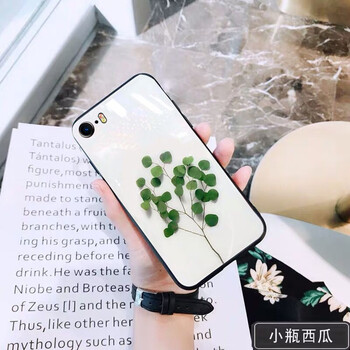 小紅蘋果