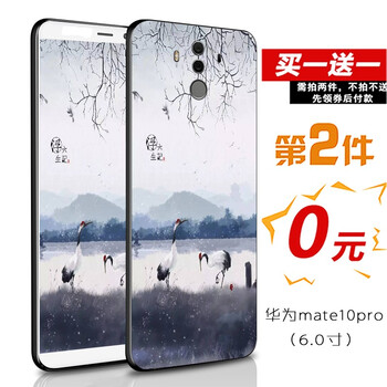 vi10pro