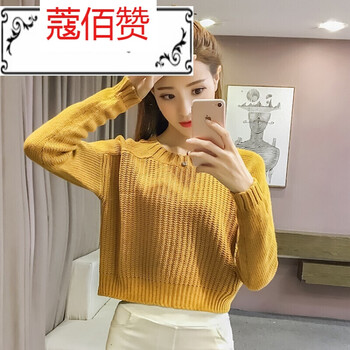 冬款女短裝