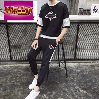 天狼旗（TIANLANGQI） 短袖 男士T恤 黑色TZ828 