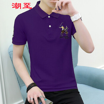 潮至（CHAOZHI） 短袖 男士T恤 LG1813紫色 