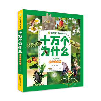 蜘蛛