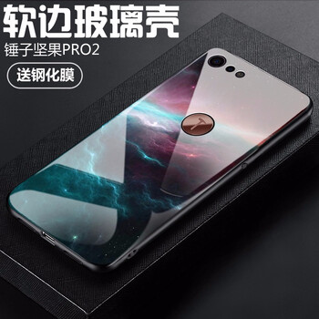 堅果pro保護殼