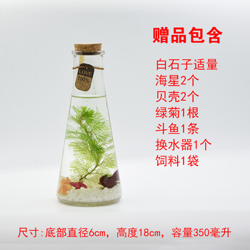 精美玻璃擺件，裝點(diǎn)客廳藝術(shù)感