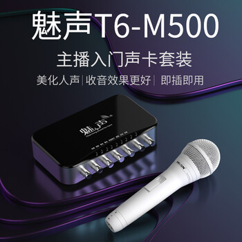魅聲m300