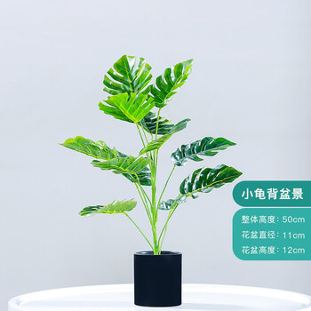 精致花瓶，讓你的美家不再單調(diào)！
