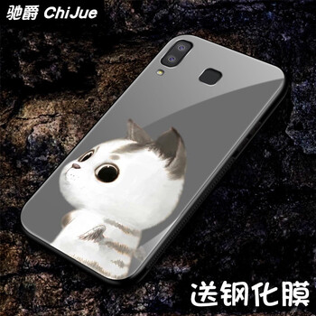 加白貓