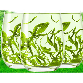 四川特產(chǎn)蒙頂山茶